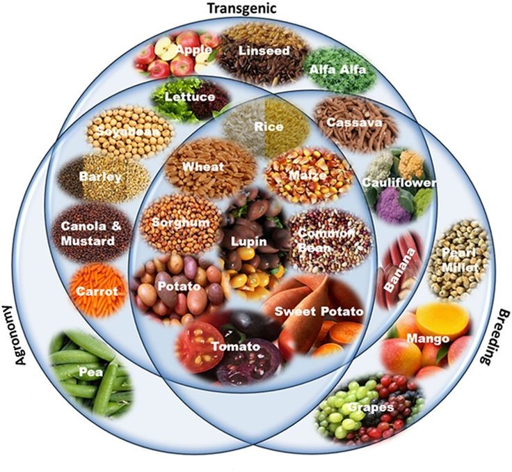 Lezing 21-2-2019_Dominique.jpg